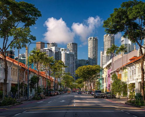 Dunearn Road Condo 1